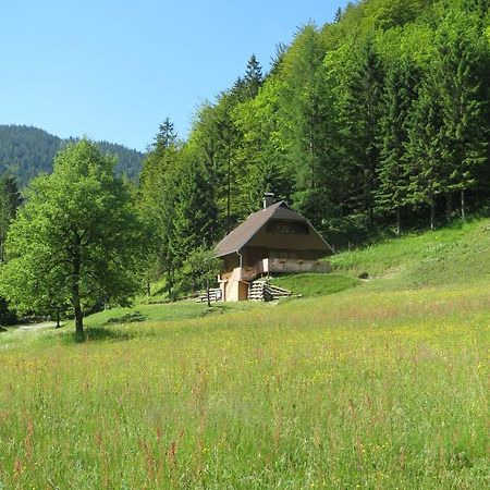 Apartmaji Brloznica Pod Veliko Planino Luče Værelse billede